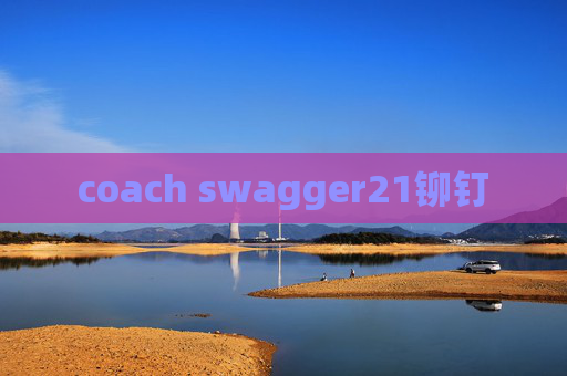 coach swagger21铆钉